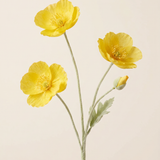 Poppy - White