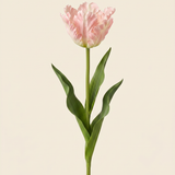 Vad tulipán virág - Rózsaszín