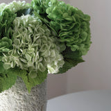 Hydra Bloom Csokor
