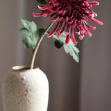 Krizantém King - Rosé