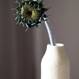 Őszi Napraforgó - Zöld