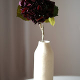 Őszi Hortenzia - Bordó