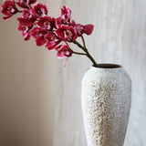 Csónak Orchidea - Prémium - Rózsaszín