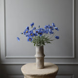 Pipacs - Világoskék