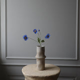 Pipacs - Világoskék