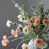 Poppy Trail