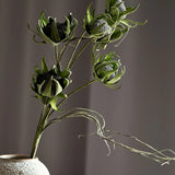 Ötfejű szárított Protea - Zöld