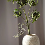 Ötfejű szárított Protea - Zöld